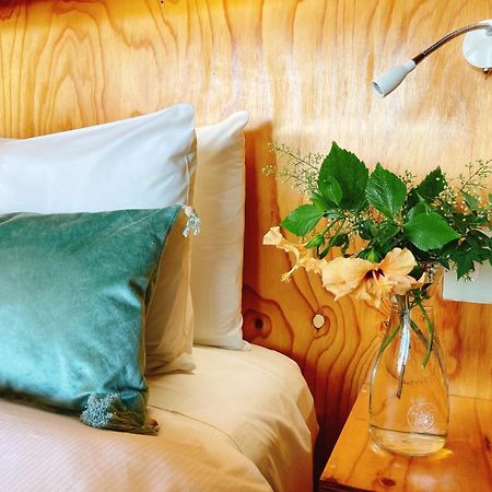 Mister C Bed & Breakfast Хартбееспоорт Екстериор снимка